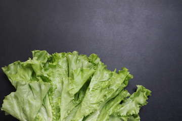 Green lettuce leaves. Vegetables on a black textured background.