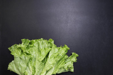 Green lettuce leaves. Vegetables on a black textured background.