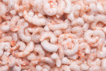 Frozen shrimp isolated. Plastic vacuum packaging. Seafood background.