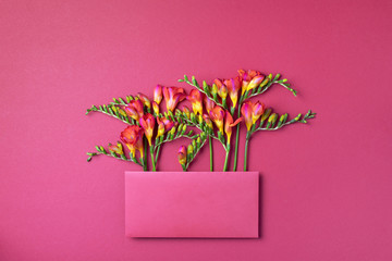 Red and yellow freesia flowers in envelope on pink background. Top view