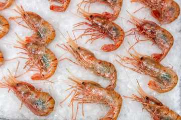 Boiled sea prawns lie on ice. Shrimps are laid out one at a time in a refrigerated display case.