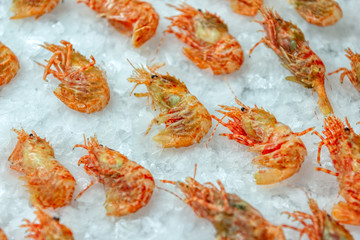 Boiled sea prawns lie on ice. Shrimps are beautifully laid