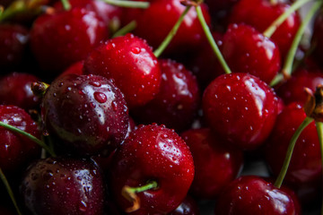 Fototapeta na wymiar cherry berries close up macro