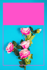 Pink roses on a  color background with the decorative graphics