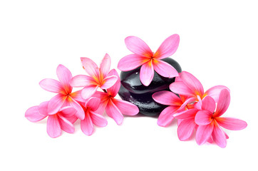 Fototapeta na wymiar Frames with frangipani flowers over white background