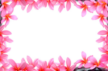 Frames with frangipani flowers over white background