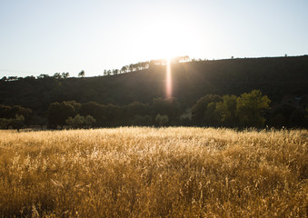 Sunset in mountains of Spain, with wheat field in front.