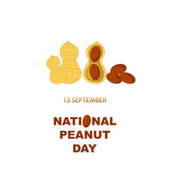 Tasty Peanut Set Isolated on White Background. Nut Seeds.