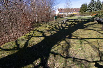 Schattenspiel Baum Zaun