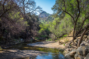 Stream at Malibu Creek State Park in spring, California, U.S.A