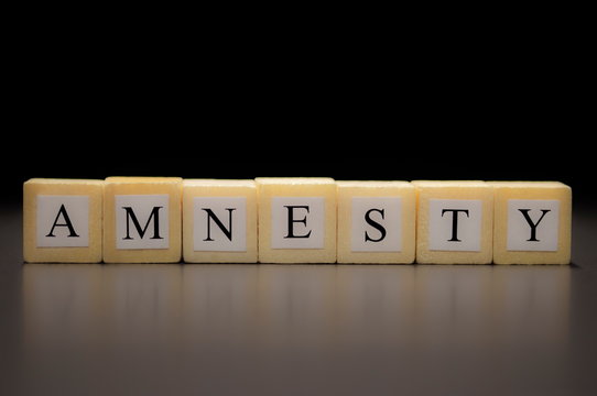 The word AMNESTY written on wooden cubes, isolated on a black background...