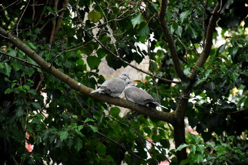 Zweisamkeit im Frühling