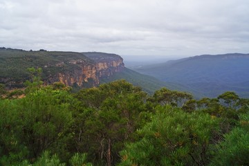 Fototapeta na wymiar Nature photography from Blue Mountains, Australia