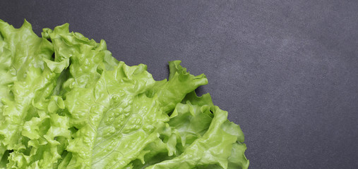 Green lettuce leaves. Vegetables on a black textured background.