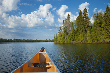 A yellow canoe moves on a northern Minnesota lake on a sunny summer morning