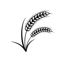 Ears of wheat icon set. Vector elements for design