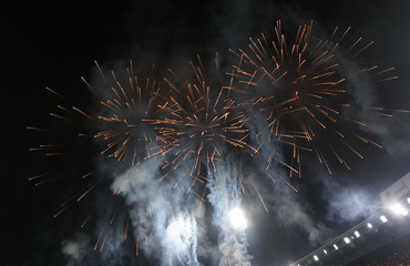 fireworks in the sky	