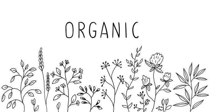 Herbal border with Organic slogan. Perfect lettring for postcards or other printing design