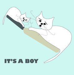 baby shower card for cat lovers it's a boy
