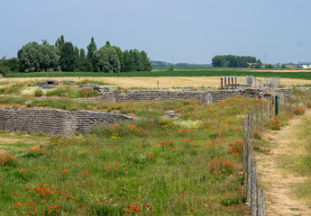 Fototapeta na wymiar World War I trenches known as Dodengang (Trench of Death) surrounded by poppies. Located near Diskmuide, Flanders, Belgium