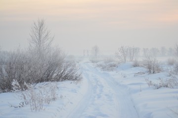 Obraz premium winter landscape with trees and snow
