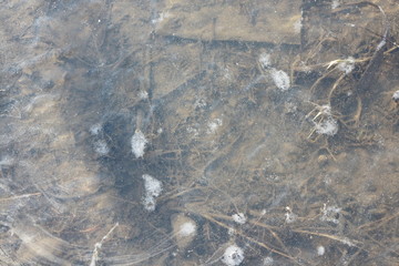 Seascape on a sunny evening with a large bridge