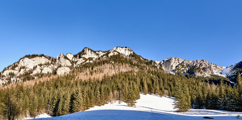 Pisana Clearing (Polana Pisana) in Koscieliska valley near Zakopane, Tatra Mountains, Poland © PatPat