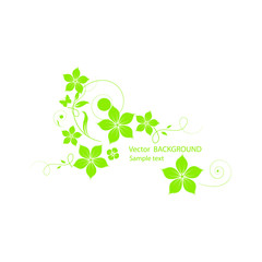 background with green leaves and flowers