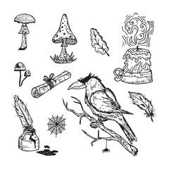 Hand Drawn Doodle Black Magic Vector Set. Raven, poisonous mushrooms, ancient paper scroll, candle, inkwell