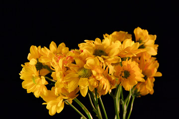 Yellow flowers