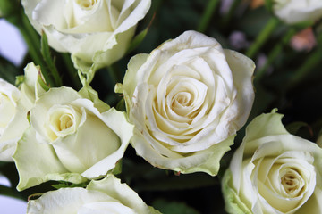 Beautiful white rose flowers. Top view. Close-up. Background. Texture.