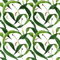 Tropical lily leaves watercolor seamless pattern with clipping path