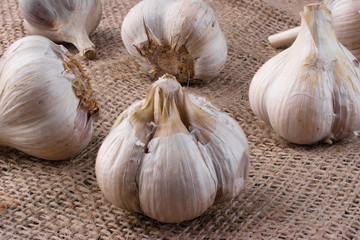 A few heads of garlic on burlap close-up.