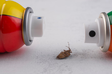 Insect poisoned by an insecticide. Insecticide spray cans