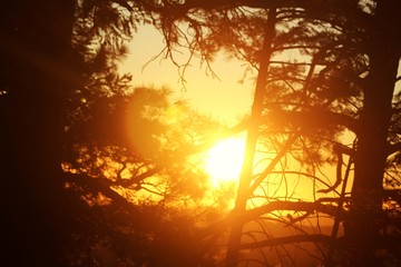 sunset