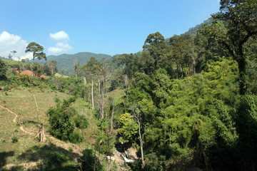 view of mountains