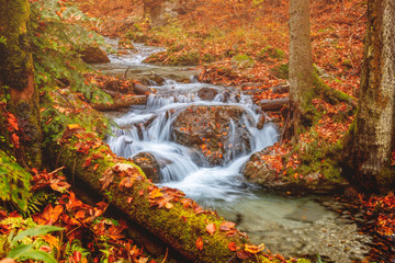 Plakat Stream with waterfall during autumn