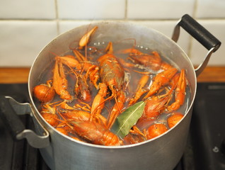 Red crayfish in a pan, cooked on the kitchen stove. traditional Russian dish, natural food.