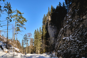 Obraz na płótnie Canvas Tourists entering mountain trail in Koscieliska Valley near Zakopane, Poland
