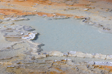 Close up of the limestone pattern of the Doublet Pool, Yellowstone