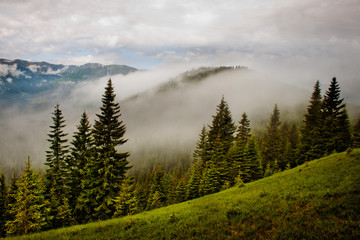 landscape in the mountains