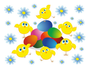 Fototapeta na wymiar On a white background, colored Easter eggs surrounded by emotional yellow six chickens and blue camomiles. Easter card.