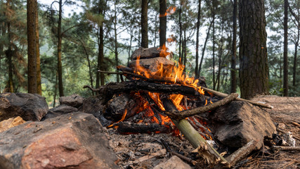 A small campfire with gentle flames beside a lake in a rain forest. North Vietnam, Ho Ham Lon.