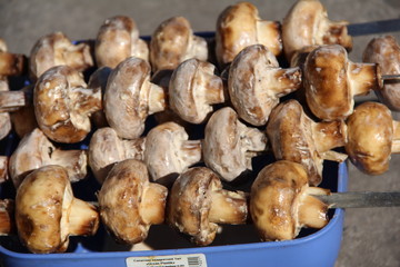 Mushrooms marinated on skewers in the forest.