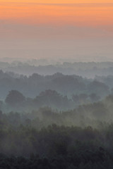 Mystical view from top on forest under haze at early morning. Mist among layers from tree silhouettes in taiga under predawn sky. Calm morning atmospheric minimalistic landscape of majestic nature.