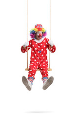 Cheerful funny clown playing on a wooden swing