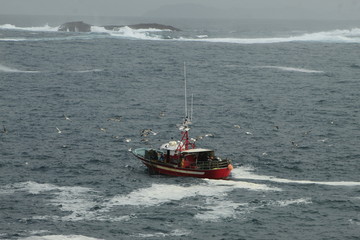 Fototapeta premium Small fishing boat, fishing near the coast, in bad weather, in La Coruña, Spain