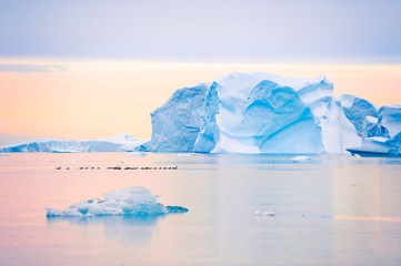 Blue icebergs in Atlantic ocean at sunset in Saqqaq village, western Greenland. Flock of ducks flowing on the water among icebergs.