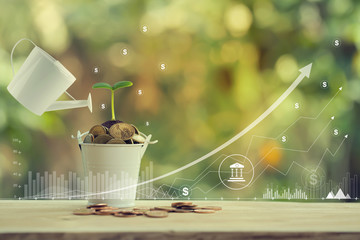 Banking and finance, Saving money for future growth concept: Pours water from a watering can, Green sprout on bucket full of coins and graph growth business investment .
