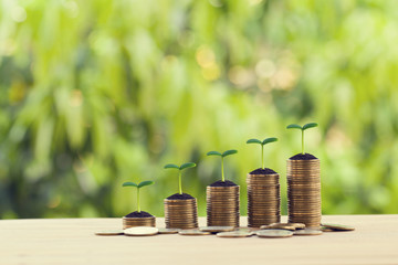 Financial concept: Green sprout on rows of increasing coins on wood table. Stock investment for...